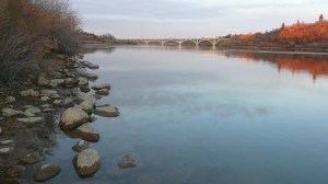 P1060589RiviereRochesPont