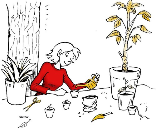 Plusieurs projets d'écriture poussent en silence