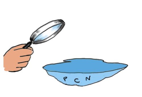 L'enquête sur le rôle du phosphore a été beaucoup plus longue que ce dessin le suggère!