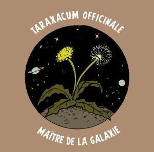 Portrait en racine du futur maître de la galaxie...