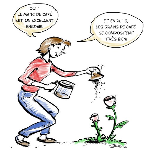 Nos plantes boivent du café!