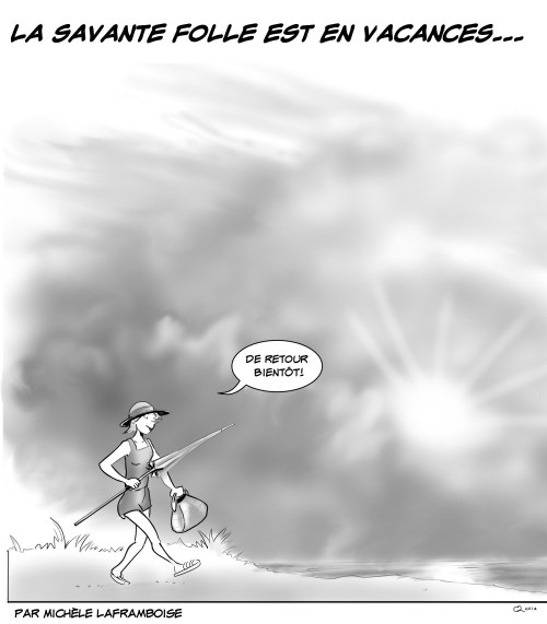 Savante folle en vacances, il manque mes jumelles et mon guide Sibley !