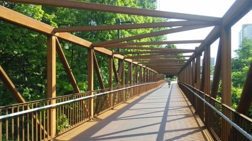 CameraZOOM-20160728091231878 PontPromeneurExp